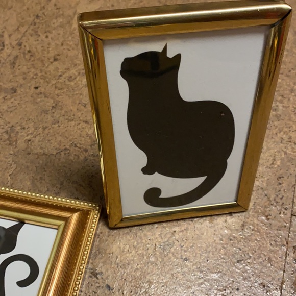 Cat Pictures - Picture 4 of 7